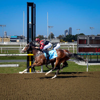 Horse Racing