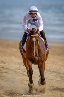 Magic Millions